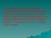 Jungtinių Tautų Organizacija bei jos struktūra 15 puslapis