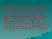 Jungtinių Tautų Organizacija bei jos struktūra 16 puslapis