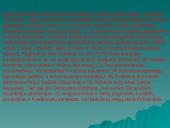 Jungtinių Tautų Organizacija bei jos struktūra 18 puslapis