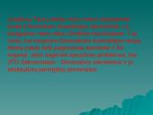 Jungtinių Tautų Organizacija bei jos struktūra 19 puslapis