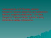 Jungtinių Tautų Organizacija bei jos struktūra 20 puslapis