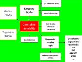 Jungtinių Tautų Organizacija bei jos struktūra 3 puslapis