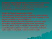 Jungtinių Tautų Organizacija bei jos struktūra 7 puslapis