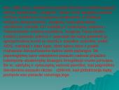 Jungtinių Tautų Organizacija bei jos struktūra 8 puslapis