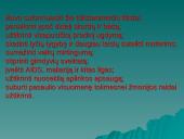 Jungtinių Tautų Organizacija bei jos struktūra 9 puslapis