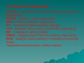 Jungtinių Tautų Organizacija bei jos struktūra 10 puslapis