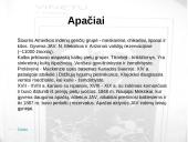 K. Majus "Vinetu" 9 puslapis