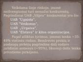 UAB "Vilpra" kainodaros organizavimas 7 puslapis