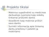 Kaip prižiūrimi dantys mūsų klasėje? 2 puslapis