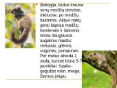 Kaišiadorių rajono saugomi gyvūnai ir augalai 13 puslapis