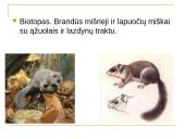 Kaišiadorių rajono saugomi gyvūnai ir augalai 14 puslapis