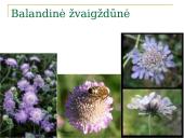 Kaišiadorių rajono saugomi gyvūnai ir augalai 5 puslapis