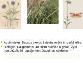 Kaišiadorių rajono saugomi gyvūnai ir augalai 7 puslapis