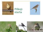 Kaišiadorių rajono saugomi gyvūnai ir augalai 8 puslapis