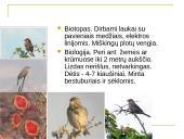 Kaišiadorių rajono saugomi gyvūnai ir augalai 10 puslapis