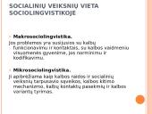 Kalba ir socialiniai veiksniai 3 puslapis