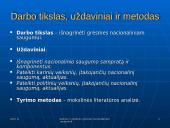 Kariniai ir politiniai veiksniai įtakojantys nacionalinį saugumą 3 puslapis