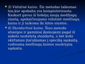 Kaštų skaičiavimas 7 puslapis