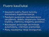 Natūralus ir sintetinis kaučiukas 13 puslapis
