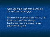 Natūralus ir sintetinis kaučiukas 3 puslapis