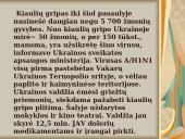 Kiaulių gripas 11 puslapis