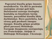 Kiaulių gripas 4 puslapis