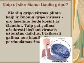 Kiaulių gripas 5 puslapis