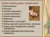 Kiaulių gripas 7 puslapis