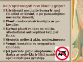 Kiaulių gripas 9 puslapis