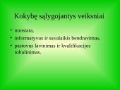 Kiek kainuoja kokybė? 13 puslapis