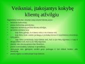 Kiek kainuoja kokybė? 17 puslapis