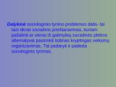 Kiekybinio sociologinio tyrimo programa 11 puslapis