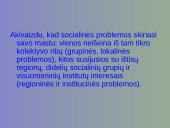 Kiekybinio sociologinio tyrimo programa 13 puslapis