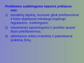 Kiekybinio sociologinio tyrimo programa 14 puslapis