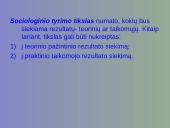 Kiekybinio sociologinio tyrimo programa 19 puslapis