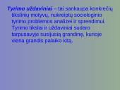 Kiekybinio sociologinio tyrimo programa 20 puslapis