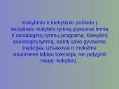 Kiekybinio sociologinio tyrimo programa 3 puslapis