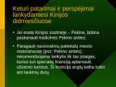 Kinijos didmiesčių turizmas 11 puslapis