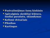 Klaipėdos rajono rekreacinių veiklų modelis 20 puslapis