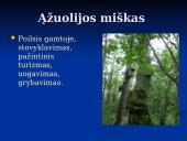 Klaipėdos rajono rekreacinių veiklų modelis 5 puslapis