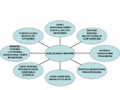 Klasės bendruomenė: samprata, santykiai, struktūra 11 puslapis