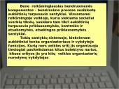 Klasės bendruomenė: samprata, santykiai, struktūra 15 puslapis