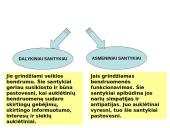 Klasės bendruomenė: samprata, santykiai, struktūra 16 puslapis