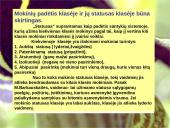 Klasės bendruomenė: samprata, santykiai, struktūra 20 puslapis