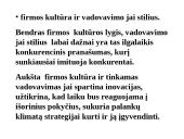 Konkurencinių pranašumų analizė 15 puslapis