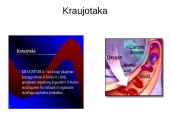 Kraujotakos sistema 2 puslapis
