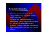 Kraujotakos sistema 11 puslapis