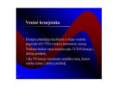 Kraujotakos sistema 12 puslapis