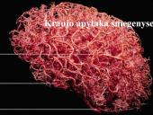 Kraujotakos sistema 13 puslapis