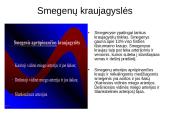 Kraujotakos sistema 14 puslapis